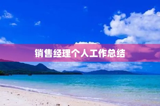 销售经理个人工作总结