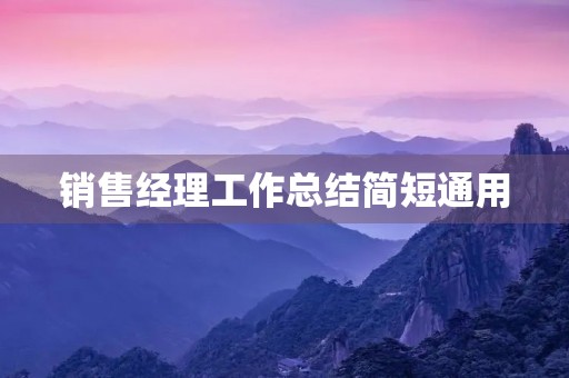 销售经理工作总结简短通用