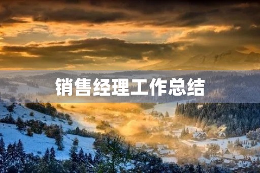 销售经理工作总结