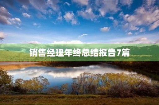 销售经理年终总结报告7篇