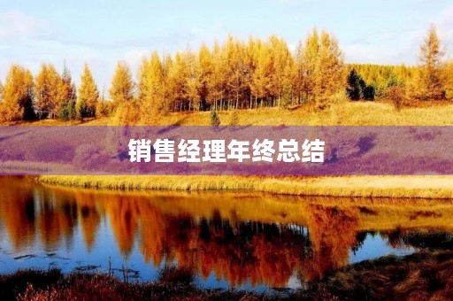 销售经理年终总结