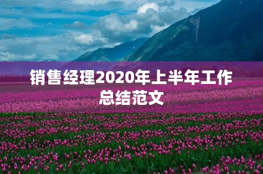 销售经理2020年上半年工作总结范文