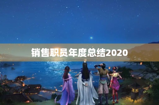 销售职员年度总结2020