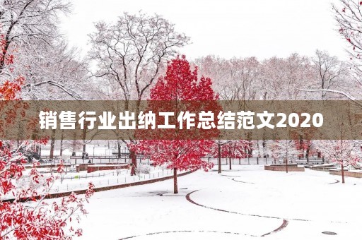 销售行业出纳工作总结范文2020