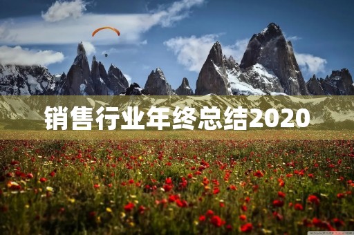 销售行业年终总结2020