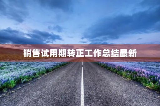 销售试用期转正工作总结最新
