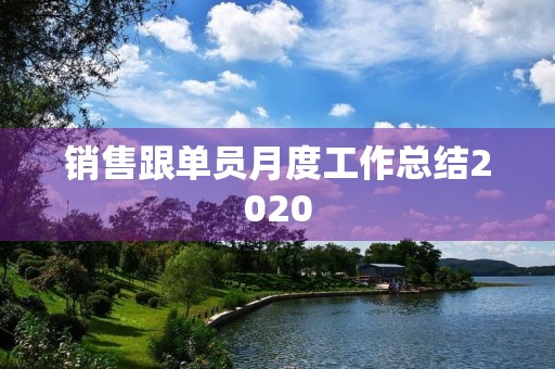 销售跟单员月度工作总结2020