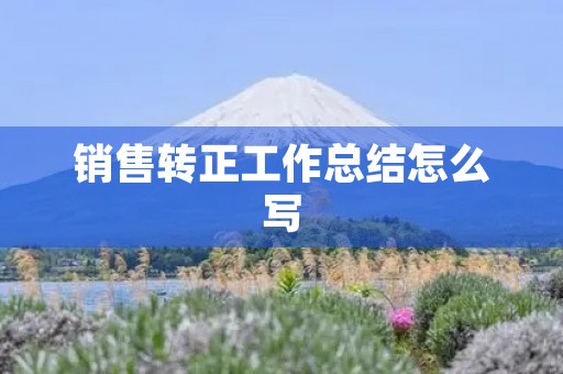 销售转正工作总结怎么写