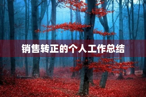 销售转正的个人工作总结
