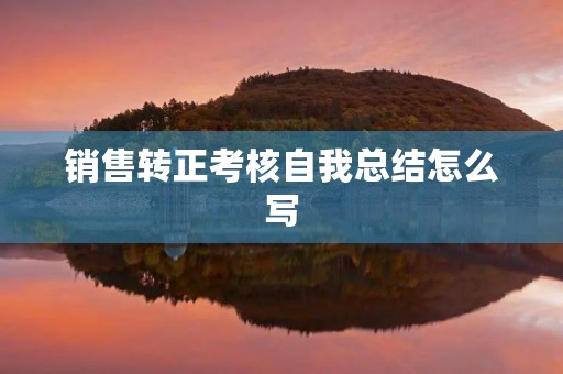 销售转正考核自我总结怎么写