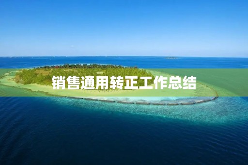 销售通用转正工作总结