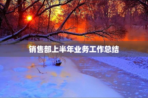 销售部上半年业务工作总结