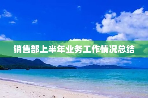 销售部上半年业务工作情况总结