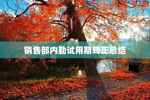 销售部内勤试用期转正总结