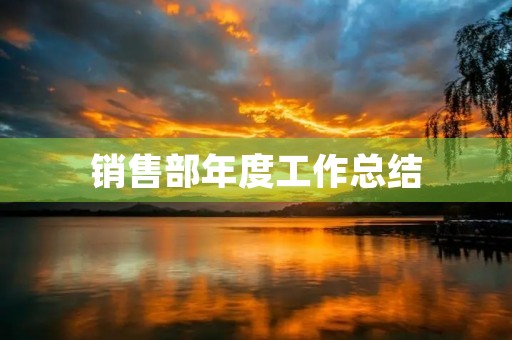 销售部年度工作总结