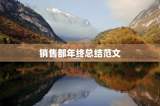 销售部年终总结范文