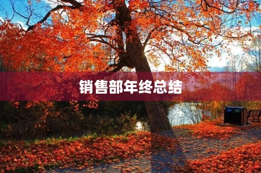 销售部年终总结 销售部年终总结