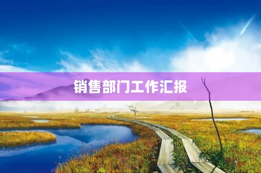 销售部门工作汇报【7篇】