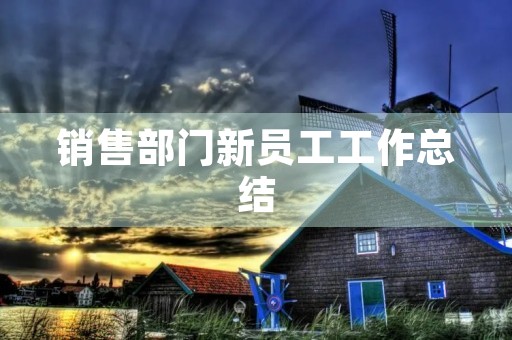 销售部门新员工工作总结 销售部门新员工工作总结