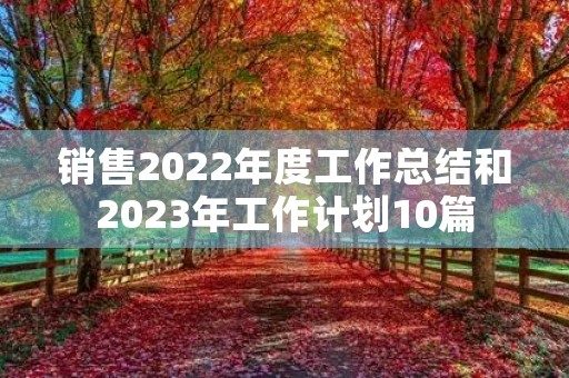 销售2022年度工作总结和2023年工作计划10篇