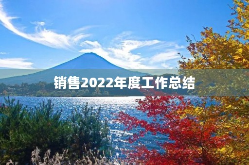 销售2022年度工作总结