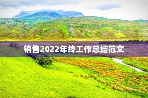 销售2022年终工作总结范文(10篇)