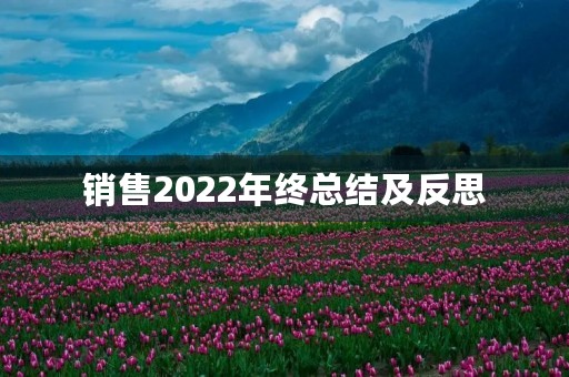 销售2022年终总结及反思