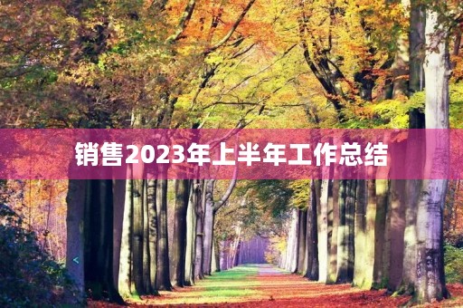 销售2023年上半年工作总结