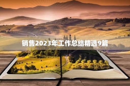 销售2023年工作总结精选9篇
