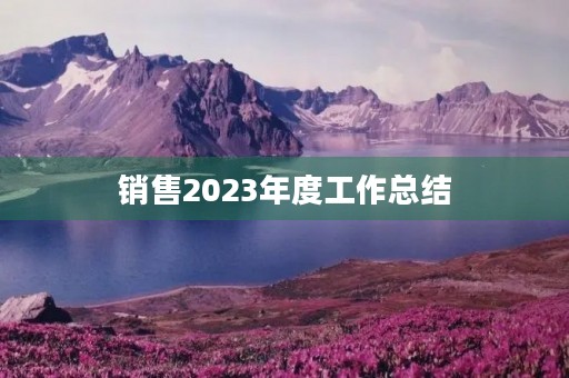 销售2023年度工作总结（10篇）