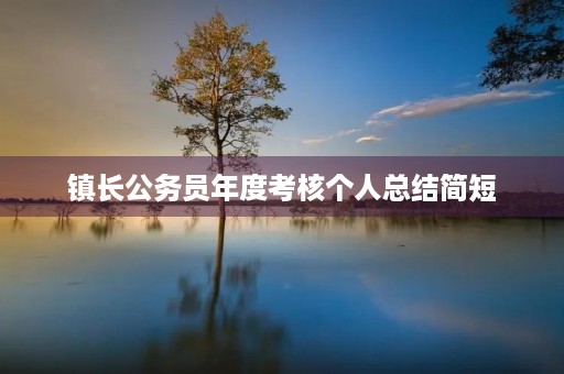 镇长公务员年度考核个人总结简短