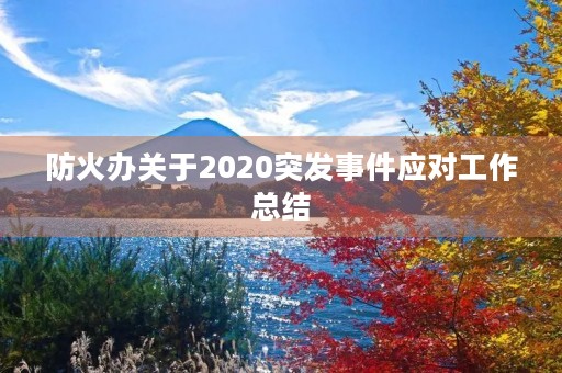 防火办关于2020突发事件应对工作总结
