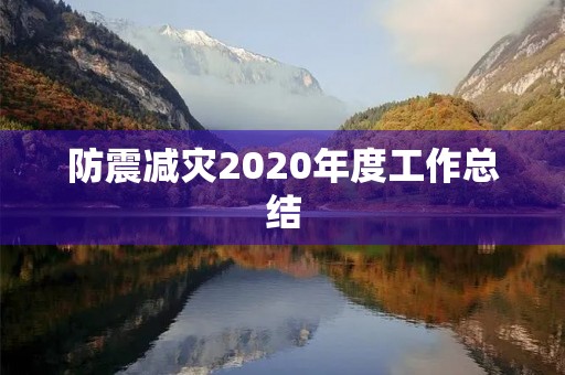 防震减灾2020年度工作总结