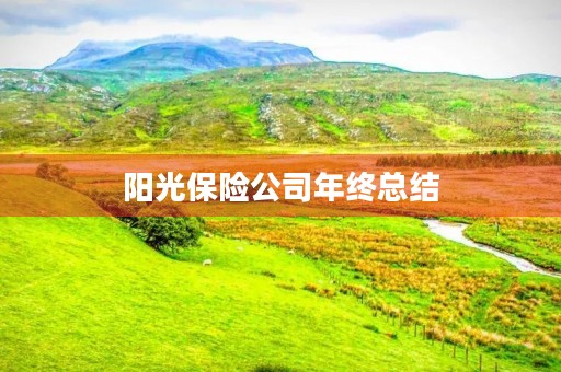 阳光保险公司年终总结