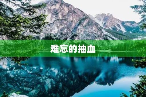 难忘的抽血 难忘的抽血