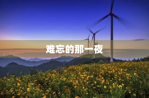 难忘的那一夜 难忘的那一夜