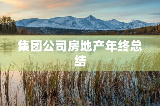 集团公司房地产年终总结