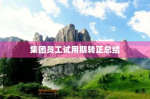 集团员工试用期转正总结