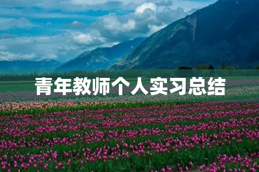青年教师个人实习总结 青年教师个人实习总结