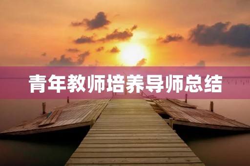 青年教师培养导师总结