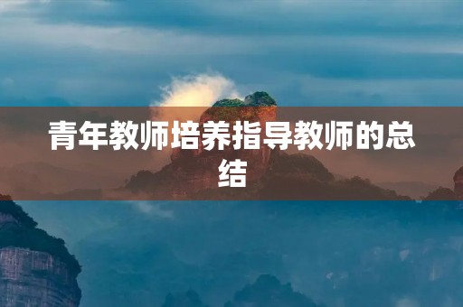 青年教师培养指导教师的总结