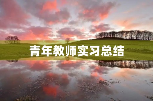 青年教师实习总结