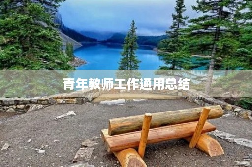 青年教师工作通用总结