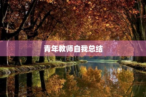 青年教师自我总结