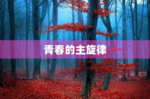 青春的主旋律 青春的主旋律