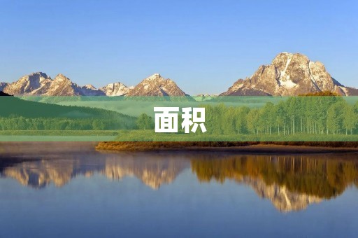 面积