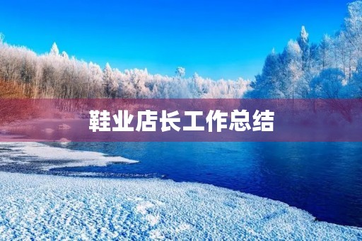 鞋业店长工作总结 鞋业店长工作总结