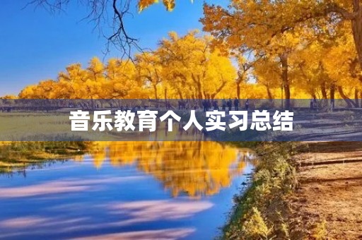 音乐教育个人实习总结