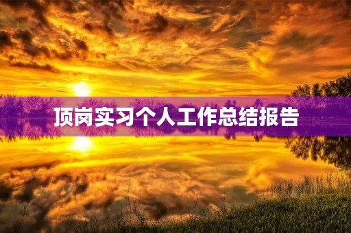 顶岗实习个人工作总结报告