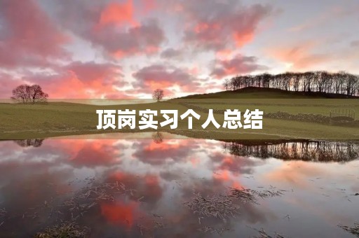 顶岗实习个人总结